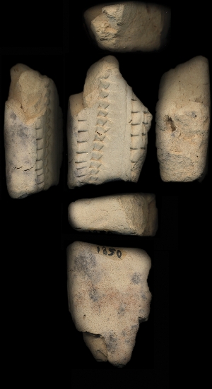 CBS1850