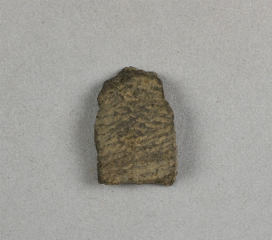 4366C