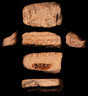 CBS3938