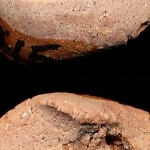789005