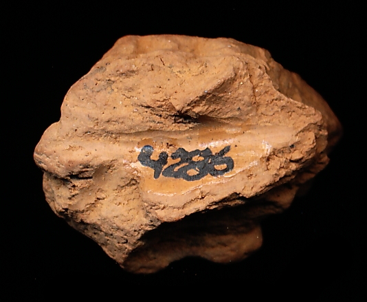 789250