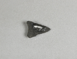 87-39-568