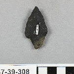 790544