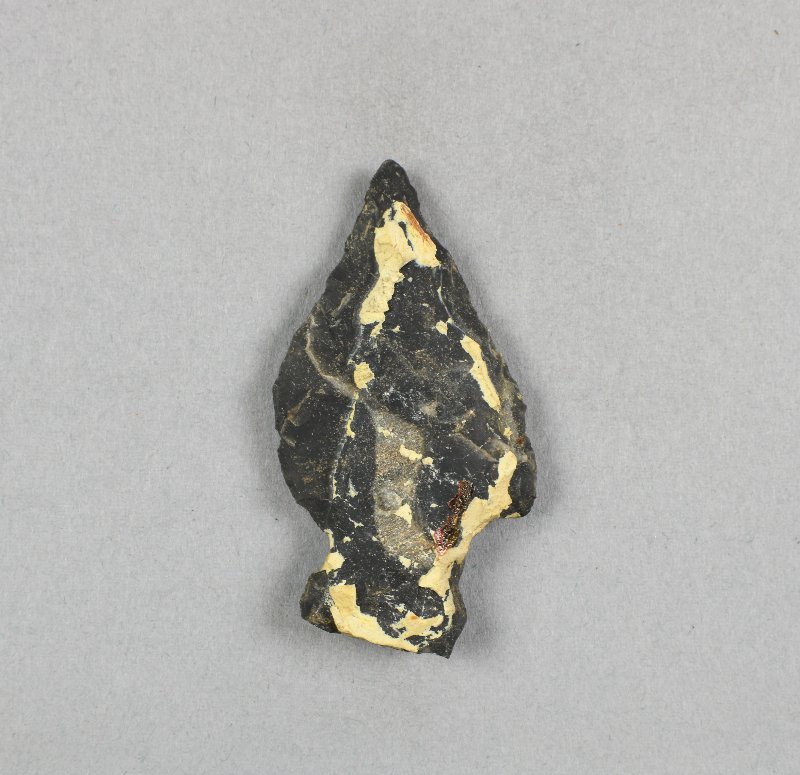 790596
