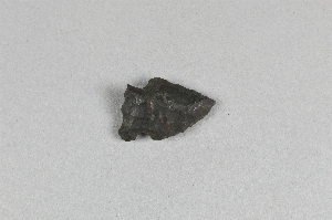 CG2017-7-342