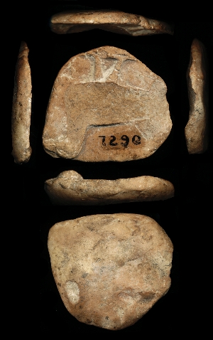 CBS7290