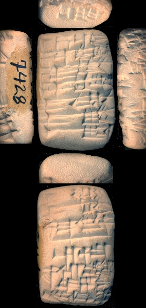 CBS7428