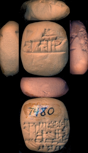 CBS7480