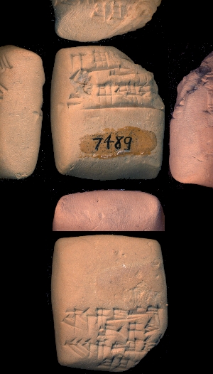 CBS7489