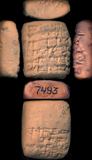 CBS7493