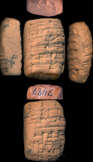 CBS7497