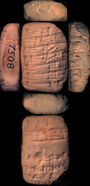 CBS7508