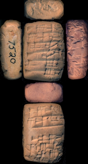 CBS7520