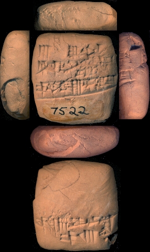 CBS7522