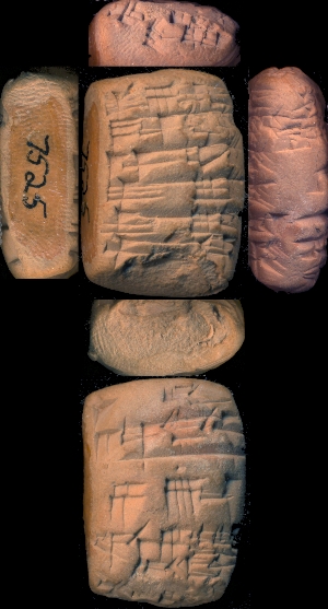 CBS7525