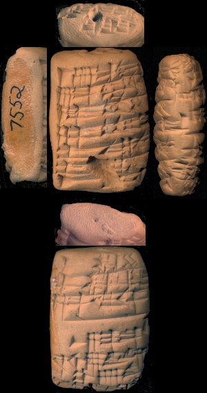 CBS7552