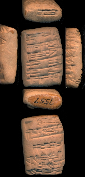 CBS7557