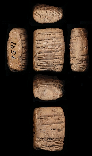 CBS7591