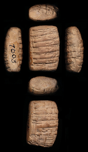 CBS7603