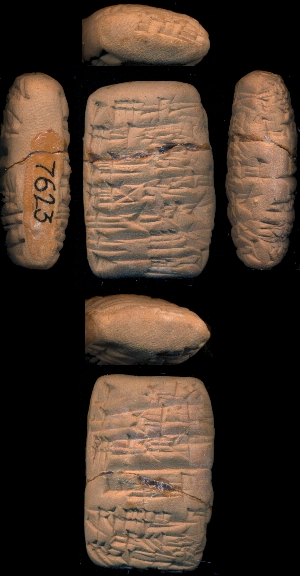CBS7623