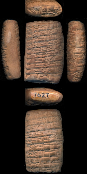CBS7627