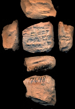 CBS7648