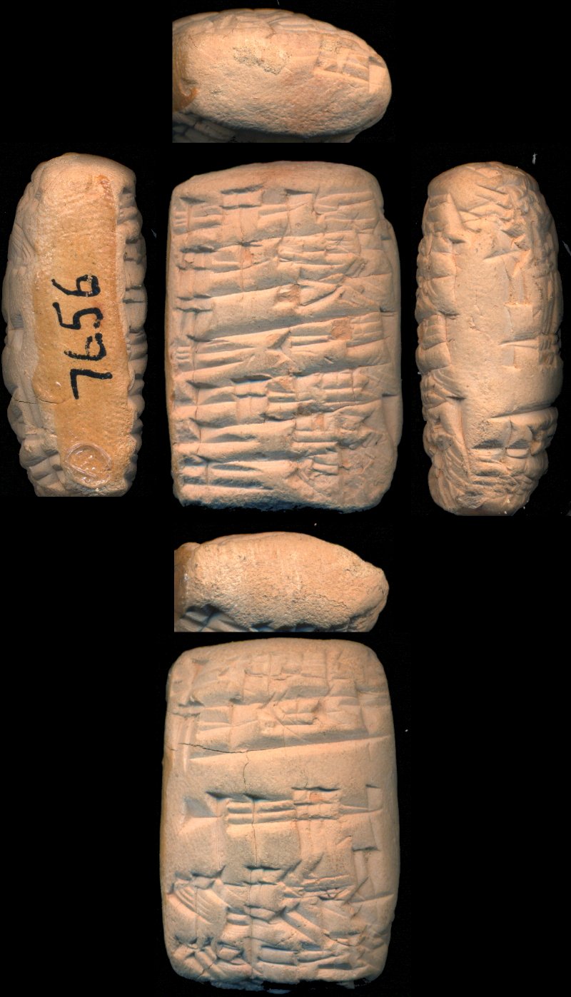 793516