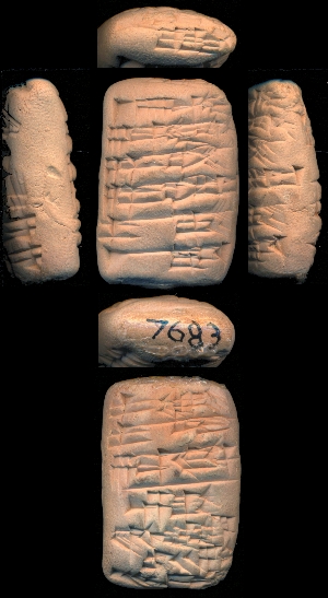 CBS7683