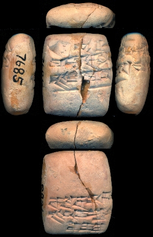 CBS7685