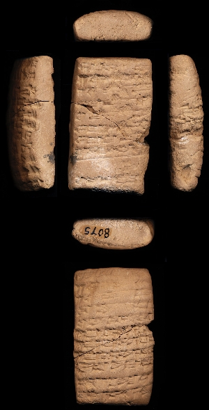 CBS8075