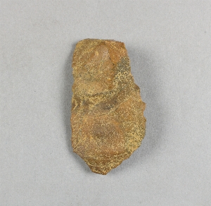 29-95-254