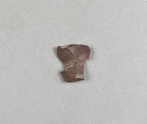 29-95-256