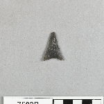 794366