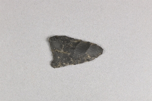 9545A
