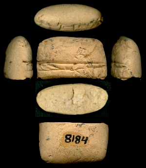 CBS8184