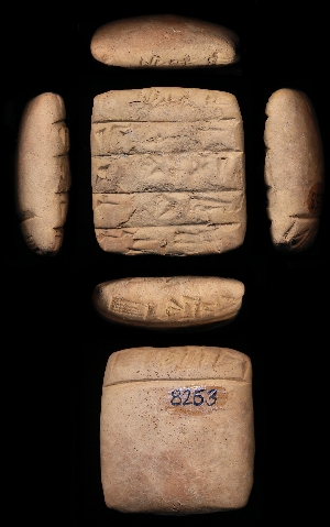 CBS8253