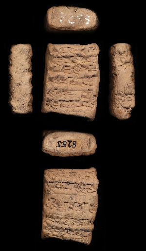CBS8255