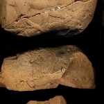 795434