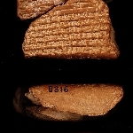 795448