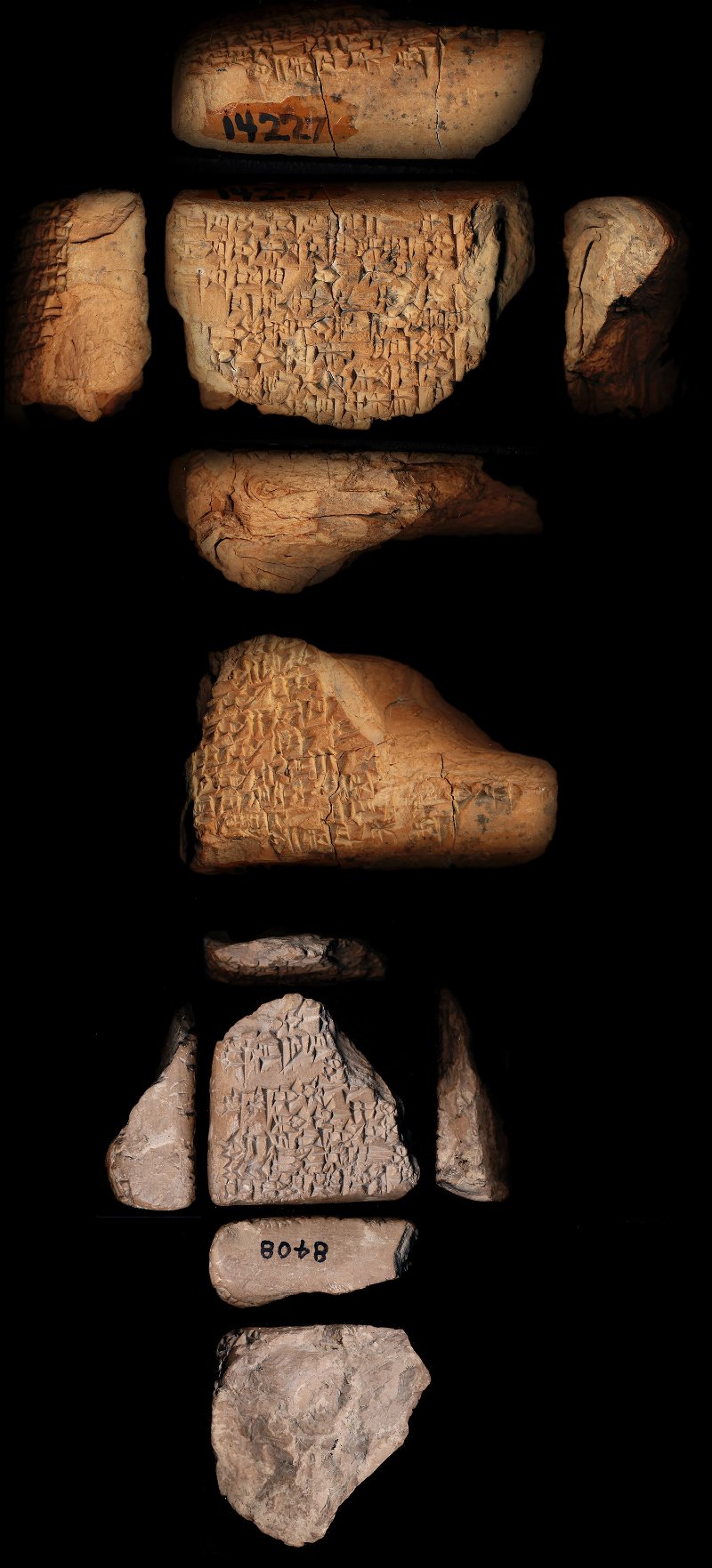 795481