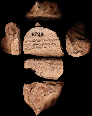 CBS8524