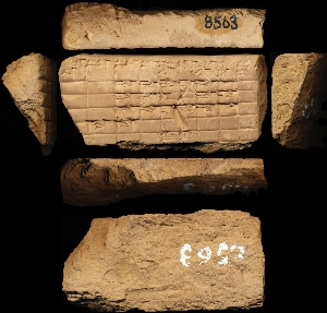 CBS8563