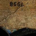 795637