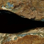 795647