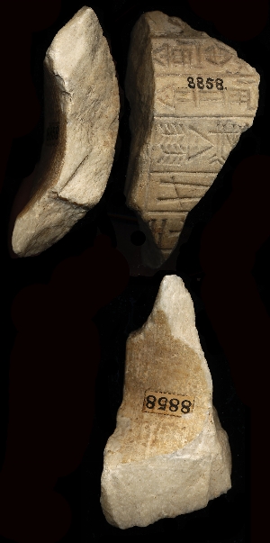 CBS8858A