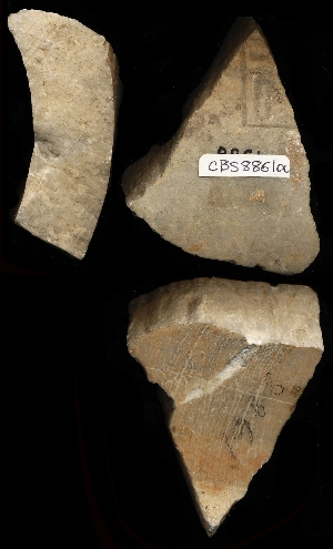 CBS8861A
