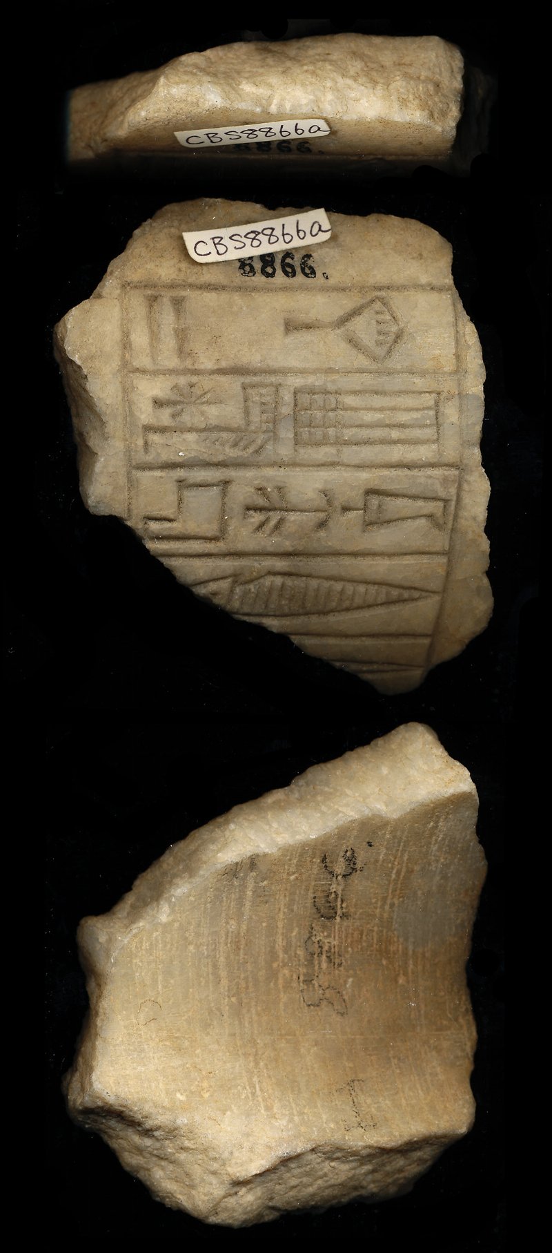 795787