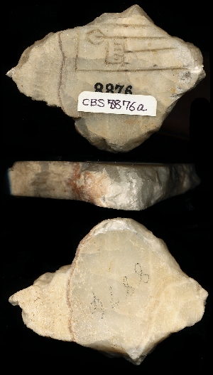 CBS8876A