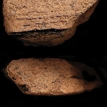 795810