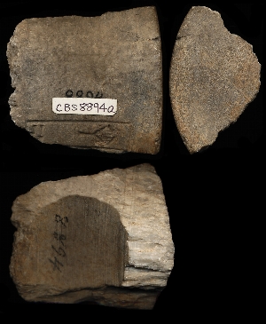 CBS8894A
